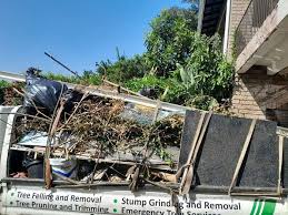 Best Electronics and E-Waste Disposal  in Double Oak, TX